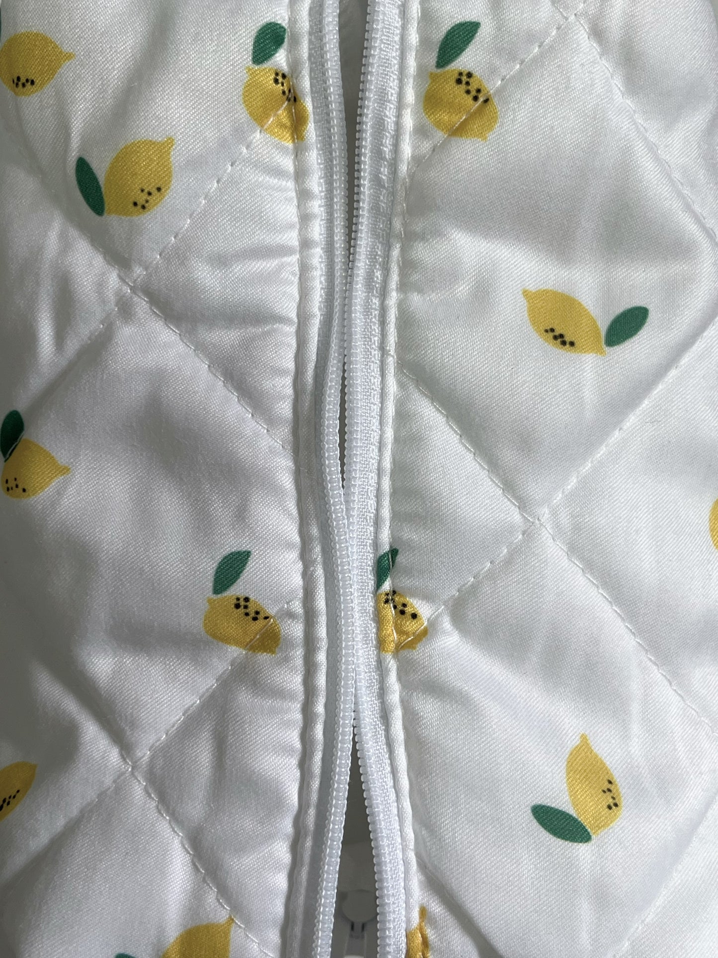 Lemon Makeup Bag